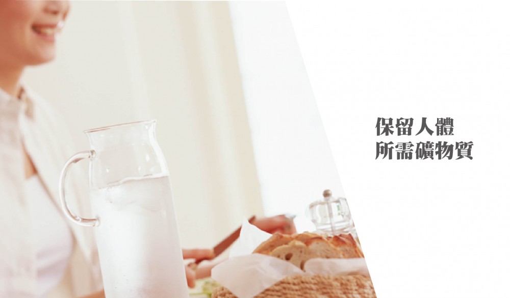檯上智慧型三段式生飲淨水器